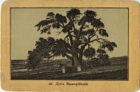 ������. ����������� ���