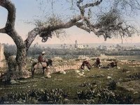 �����. ���� ��.���. ������� �����������