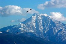 «Афон – высшая точка земли»