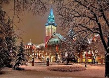 В СЕРБИЮ НА ПРАЗДНИК БОГОЯВЛЕНИЯ 17-24 января 2016г