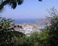 ������ ������ ������